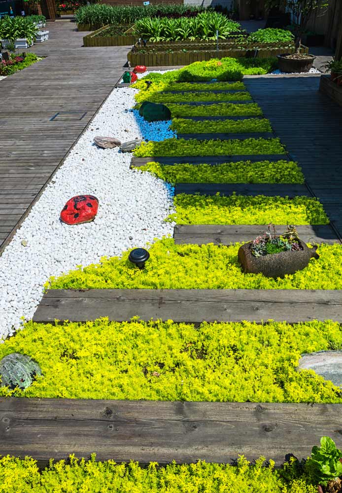 Création de jardins uniques et sur-mesure à Aubagne